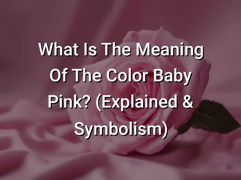 What Is The Meaning Of The Color Baby Pink? (Explained & Symbolism