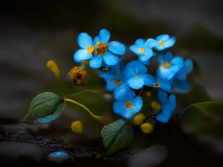 Forget Me Not Meaning: Symbolism and Significance