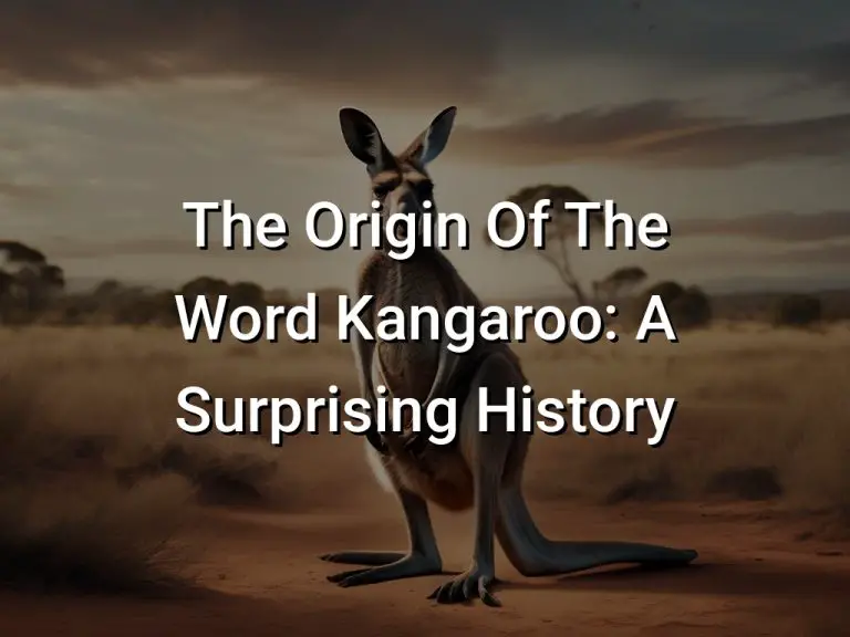 The Origin Of The Word Kangaroo: A Surprising History